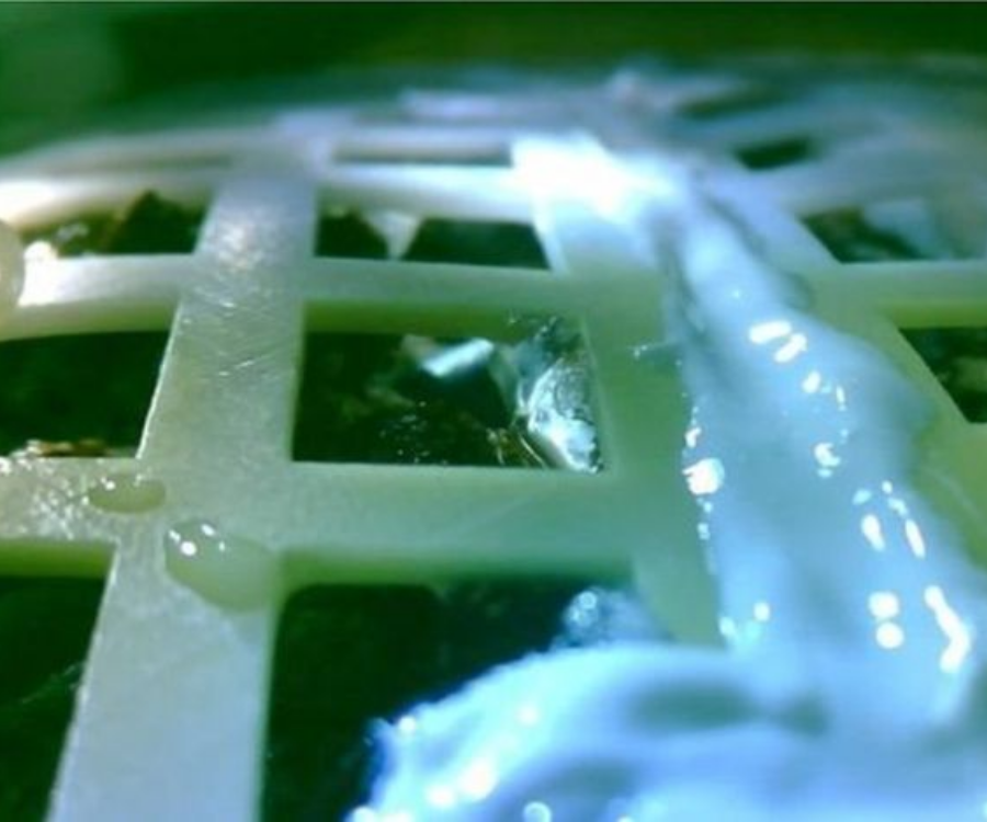 AY'DA YEŞEREN PAMUK FİLİZLERİ KARANLIK ÇÖKÜNCE SOLDU