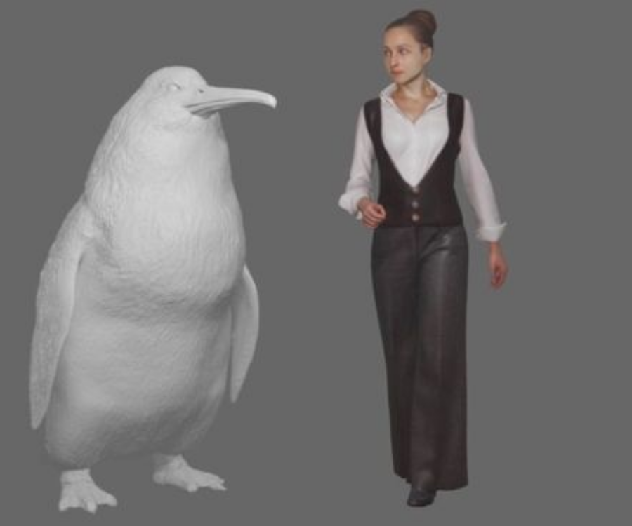 YENİ ZELANDA'DA "İNSAN BOYUTUNDA"  PENGUENLERİN FOSİLLERİ BULUNDU