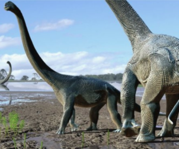 KITALARI AŞAN DEV DİNOZORLAR BULUNDU