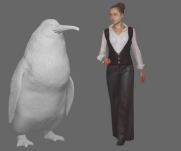 YENİ ZELANDA'DA "İNSAN BOYUTUNDA"  PENGUENLERİN FOSİLLERİ BULUNDU