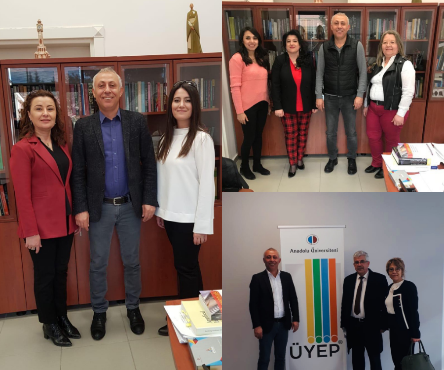 uyep anadolu universitesi